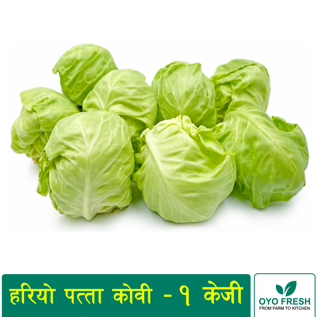 Green Cabbage – 1 Kg