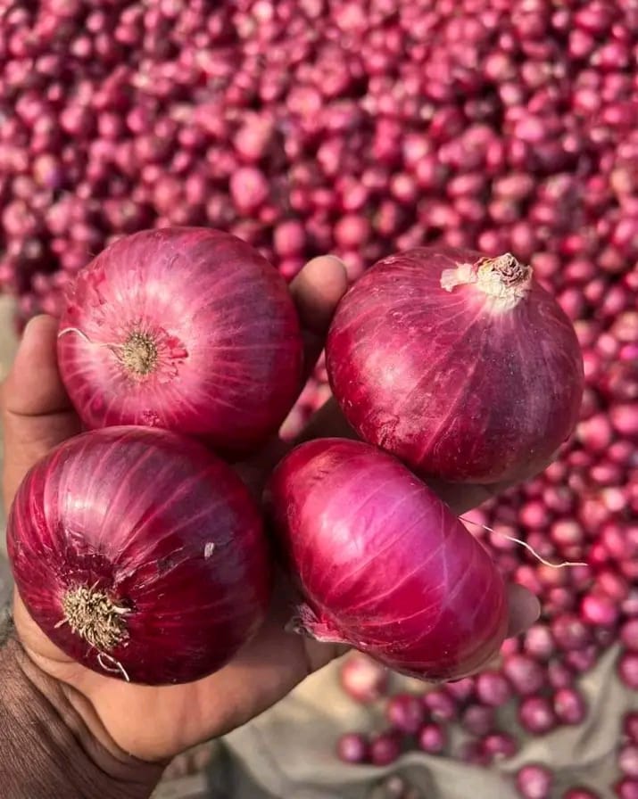 Red Onion – 1 Kg