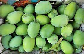 Lahan Bombay Mango (लहानको बम्बई आँप) – 10 KG