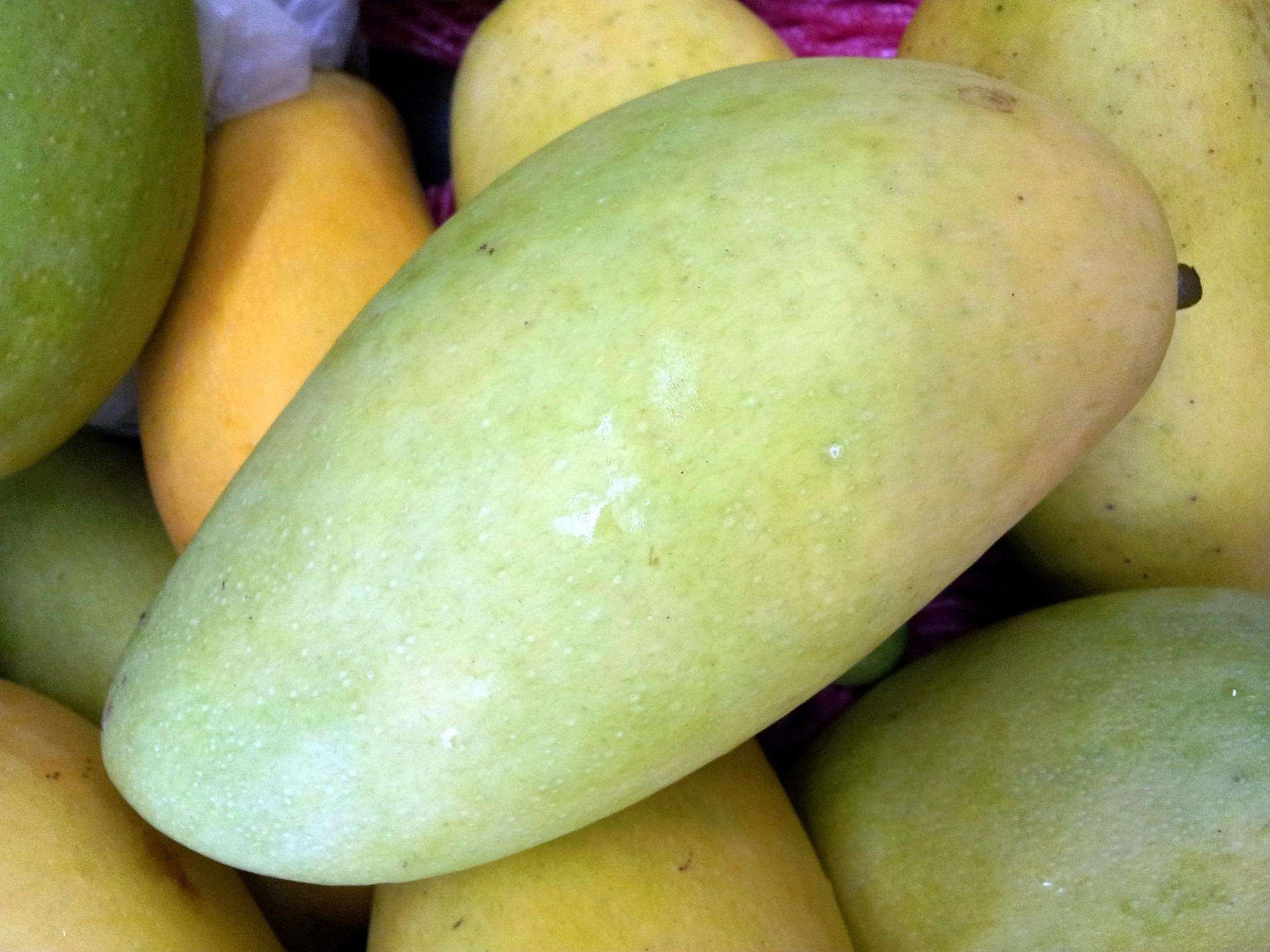 Lahan Dashari Mango (लहानको दशहरी आँप) – 10 KG