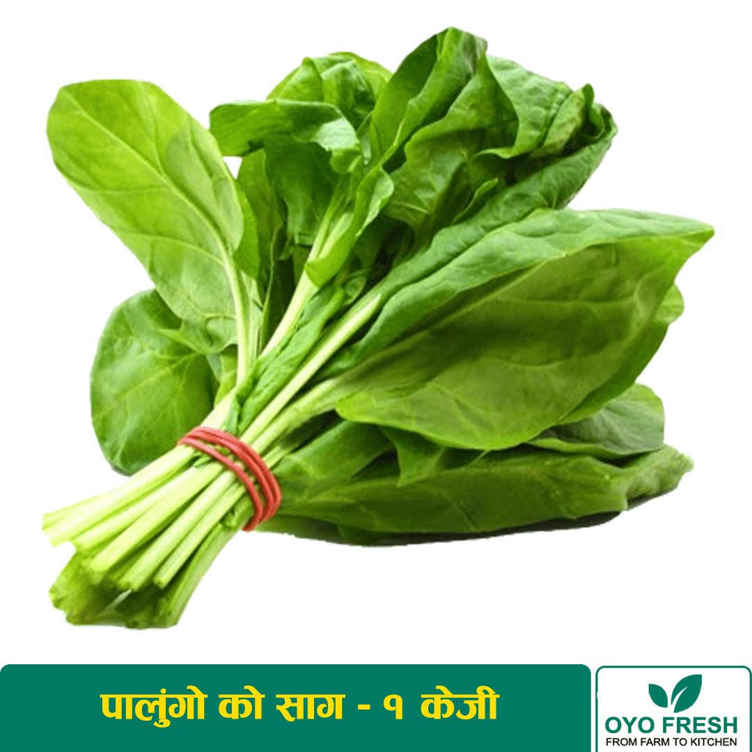 Spinach Leaf – 1 Kg