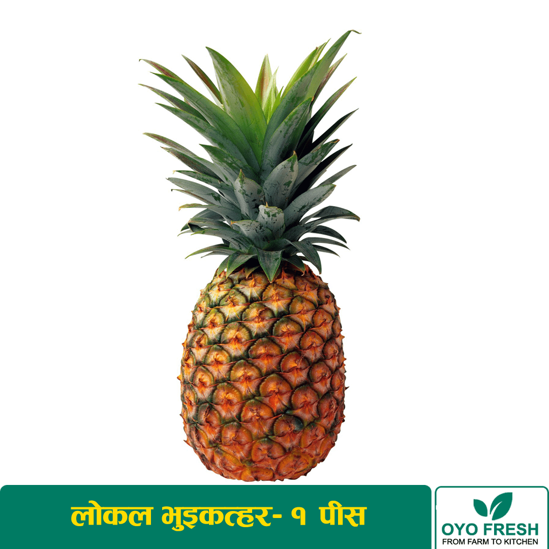 Local Pineapple – 1 Pc
