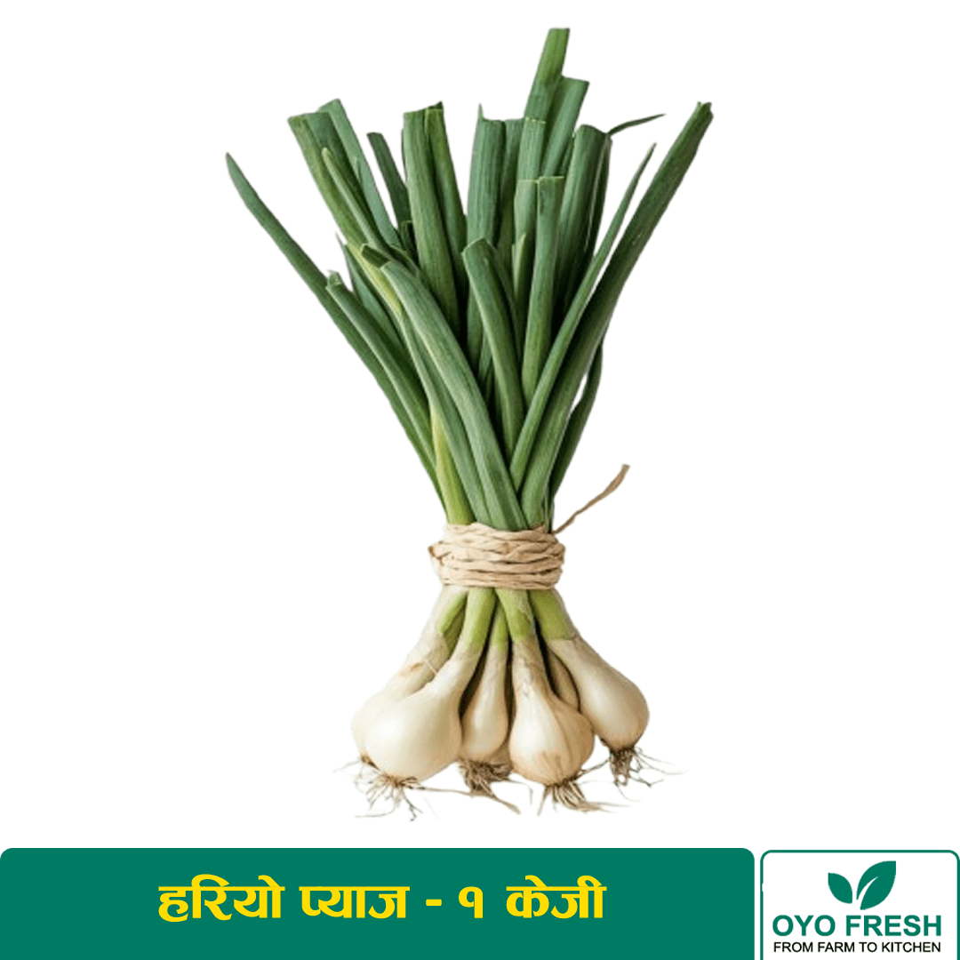 Green Onion – 1 Kg